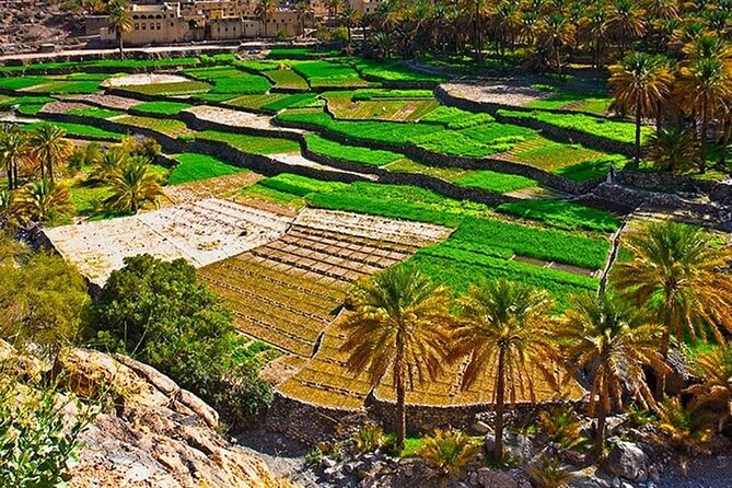 Nakhal Fort-Nakhal Hotspring-Wadi Bani Awf-Bilad Sayt - Private Full Day Tour - Who this tour is best for (and who should think twice)