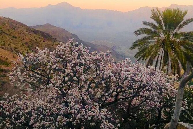 Nakhal Hotspring and Wakan Village Private Full Day Tour - The Long Stairs to Wakan Village (2,000m): Terraced Gardens and Apricot-Flower Season