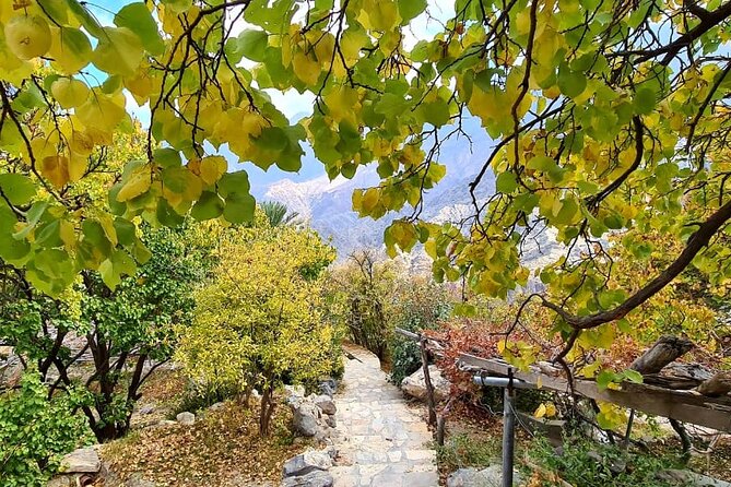 Nakhal Hotspring and Wakan Village Private Full Day Tour - Who This Tour Suits Best, and Who Should Rethink It