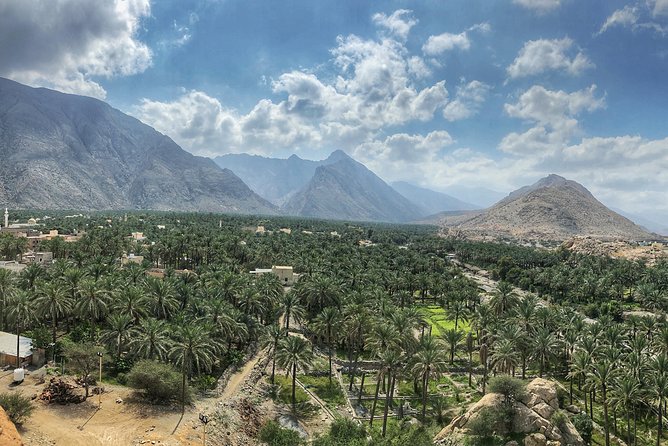 Nizwa and Green Mountain Group Full day tour - Nizwa Souq: Knives, Produce Blocks, and a Gift Hunt That Feels Real
