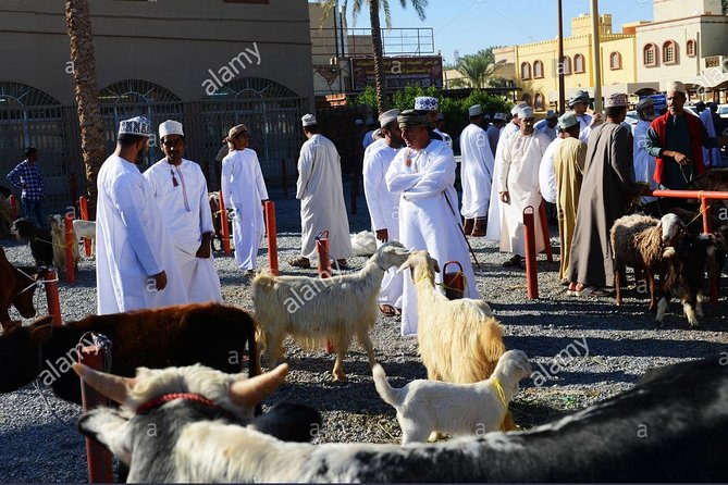 Nizwa Friday Market Jabal Chams - Nizwa Souq and Fort, A Morning With Old-World Structure