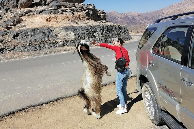 Nizwa. Hambra. Grand Canyon Oman - Muscat pickup, timing, and how to keep the day smooth