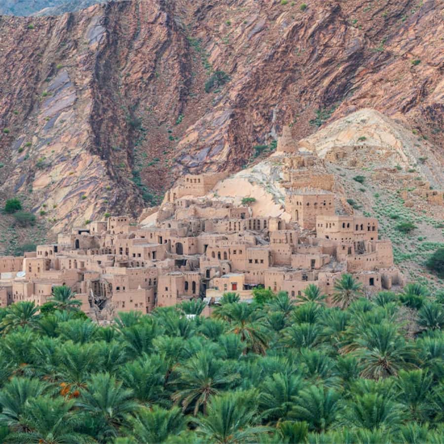 Nizwa Heritage & Culture Full Day Tour with Audio Guiding - Lunch in Nizwa: included meal basics, extra drinks at the table
