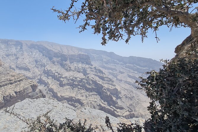 Nizwa Heritage & Jebel Shams Canyon – Private Tour from Muscat - Al Hamra and Misfah al Abryeen: seeing village life and the falaj water system