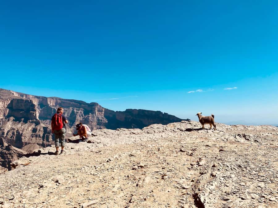 Nizwa: Jebel Shams Balcony Walk and Via Ferrata Adventure - FAQ