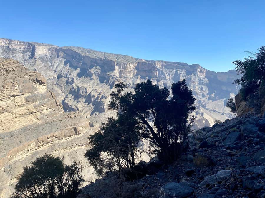 Nizwa: Jebel Shams Balcony Walk and Via Ferrata Adventure - Lunch at Jebel Shams: Short Break, Big Energy Return