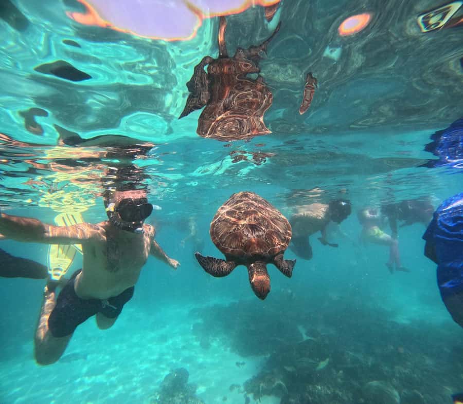 Oman: Daymaniyat Island Snorkeling Trip with Equipment - Daymaniyat Islands Nature Reserve: snorkeling that stays controlled and respectful