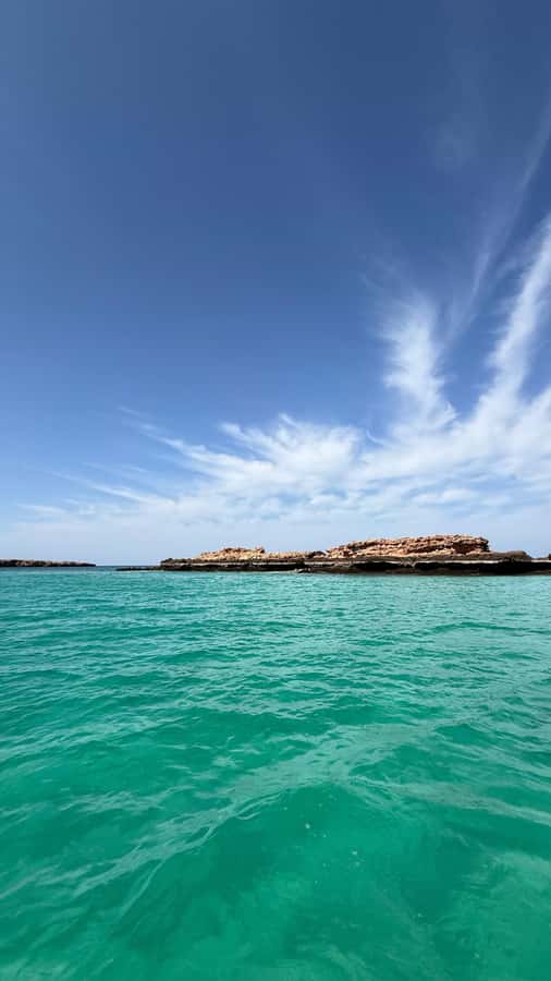 Oman: Daymaniyat Islands Visit and Snorkeling - Daymaniyat Islands: what you’re hoping to see in the water