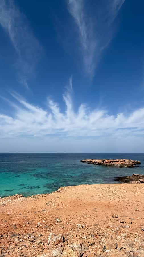 Oman: Daymaniyat Islands Visit and Snorkeling - Price and value: what $85 buys you in real snorkeling time