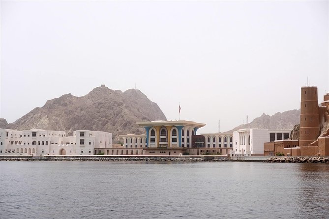 Oman Dolphin Watching Tours - Dolphins, currents, and what you can actually see off Muscat
