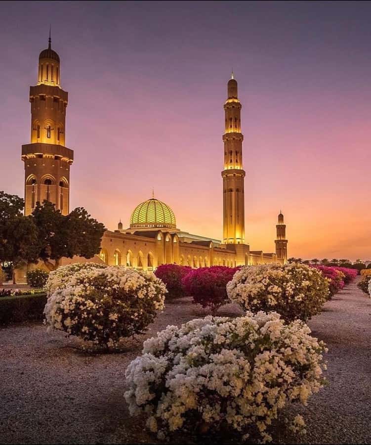 Oman:Group Muscat City Tour With Pick Up & Free Lunch/Dinner - Key highlights