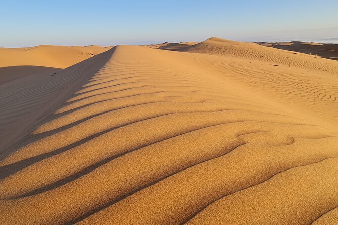 Oman Highlights: Wahiba Sands Desert & Wadi Bani Khalid Tour - Dune bashing expectations, and why the tour feels calmer than other desert days