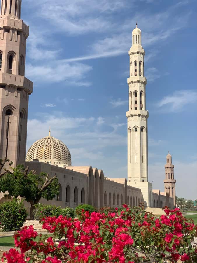 Oman: Private City Tour of Muscat with pick up/drop off - Royal Opera House Muscat: marble, wood, and culture you can feel