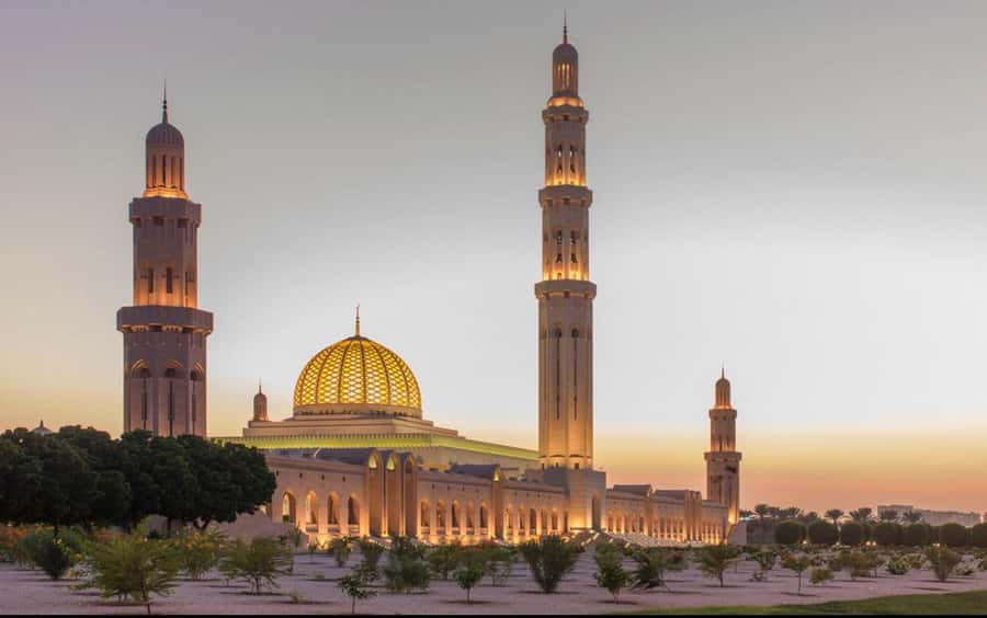 Oman: Private Muscat City Tour With Pick-up/ Drop-off - Pickup, Private Comfort, and the Extra Tickets You Should Budget