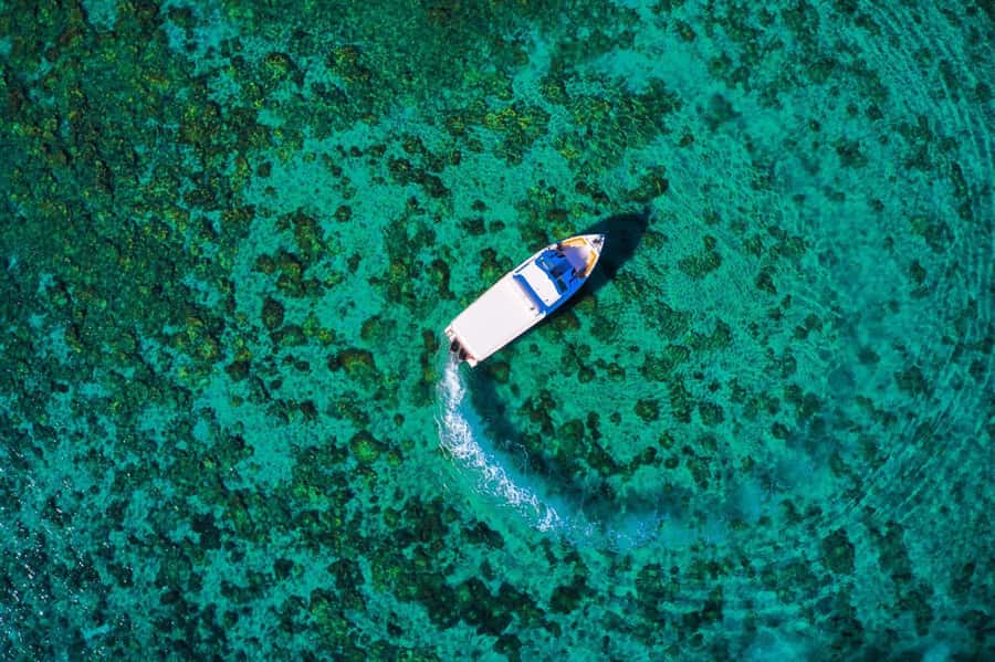 Oman: Snorkeling Trip at Daymaniyat Islands - Price and what $94 really covers on Oman Sea Tour