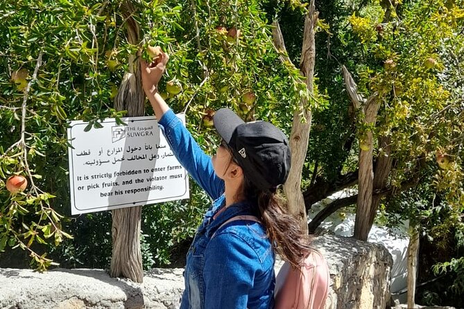 Private 2 - Days Jebel Akhdar Overnight Camping Tours - Why Jebel Akhdar camping feels like a real Oman reset