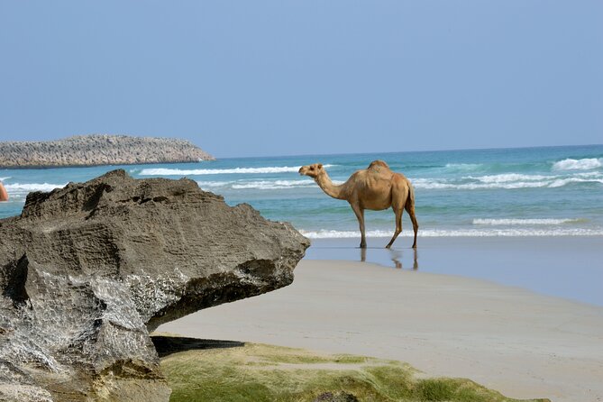 Private Caribian Orient (Swiming in Fazayeh Beach ) - The Dhofar zig-zag lookout: switchbacks over an 800m viewpoint