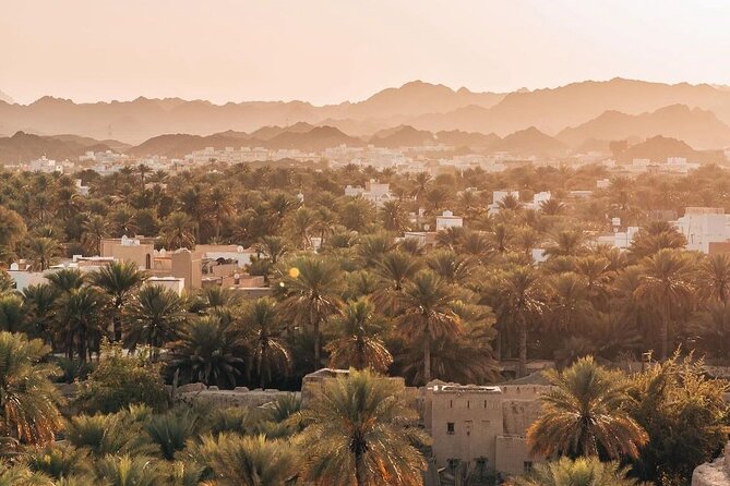 Private Day Tour to the Enchanting Forts of Nizwa - Entering Nizwa Fort: The 17th-Century Defensive Logic