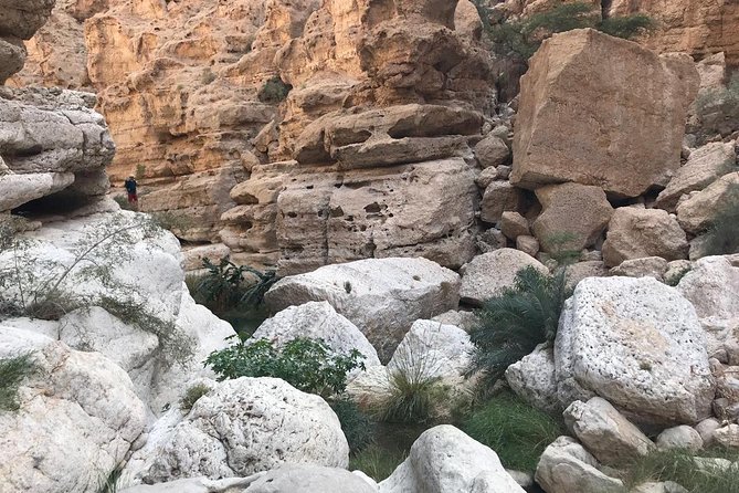 Private Day Trip to Wadi Shab & Bimmah Sinkhole Price Up To 5 Persons - Bimmah Sinkhole lake swim and the limestone story
