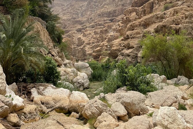 Private Day Trip to Wadi Shab, Fins Beach & Bimmah Sinkhole - Should You Book This Private Wadi Shab, Fins Beach, and Bimmah Day Trip?