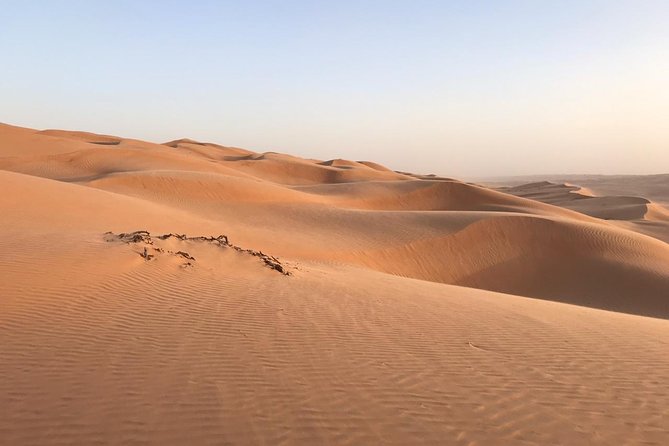 Private Day Trip to Wahiba Sands & Wadi Bani Khalid (Desert Safari) - Wahiba Sands dune bashing in a 4WD, plus desert time in golden sand