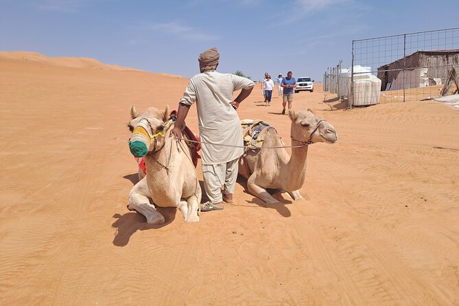 Private Desert and Wadi Tour in Oman - Wadi Bani Khalid: swimming, cliff spots, and trails with real variety