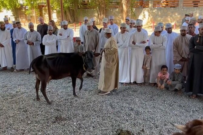 Private Friday Cattle Market-Nizwa and Jebel Akhdar-Full-Day Tour - Key things I found most worth your time