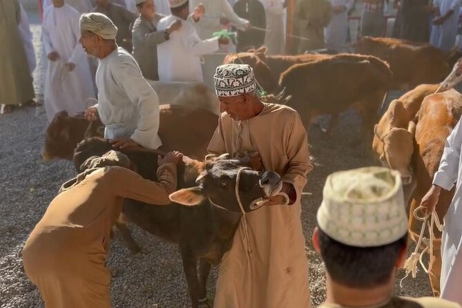 Private Friday Cattle Market-Nizwa and Jebel Akhdar-Full-Day Tour - UNESCO Aflaj irrigation systems, Oman’s water story in 20 minutes