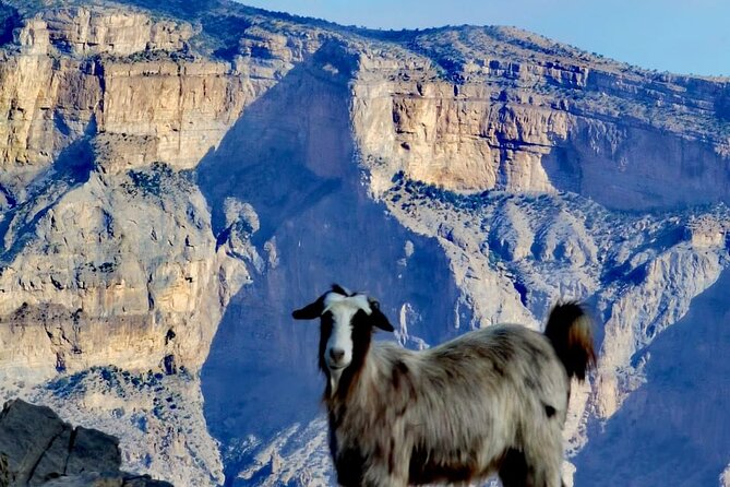 Private Full Day Guided Balcony Walk Hiking to Jebel Shams - Guides make or break the hike day