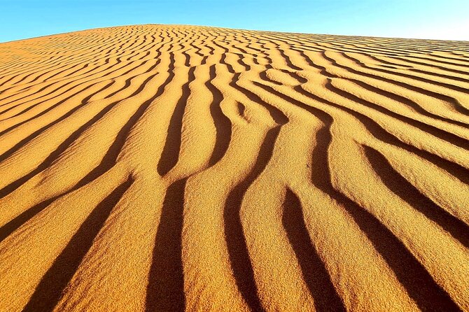 Private Full Day Private Desert Safari Tour - Lunch at a Local Restaurant, How to Plan Without Getting Stuck