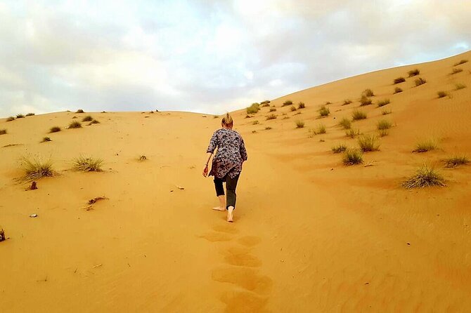 Private Full Day Private Desert Safari Tour - Price and Value: Why $175 Can Make Sense for This Day Format