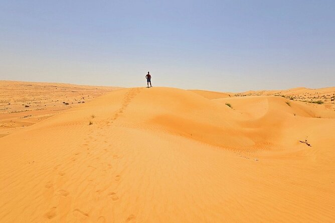 Private Full Day Tour to Wahiba Sands Desert and Wadi Hawer - Logistics You’ll Care About: Pickup, Meeting Point, Private Group