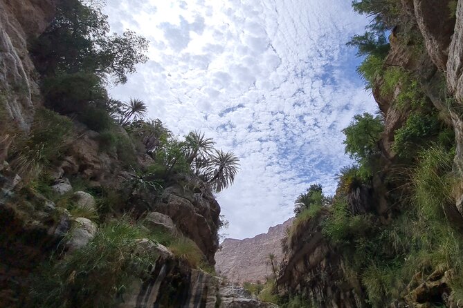 Private Full-Day Wadi Tiwi and Bimmah Sinkhole Tour from Muscat - Price and Value: What $187 Really Buys You