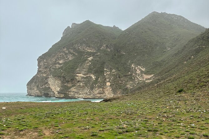 Private Guided Tour to West Beaches of Salalah - The Frankincense Trail: The Tree Behind the Stories