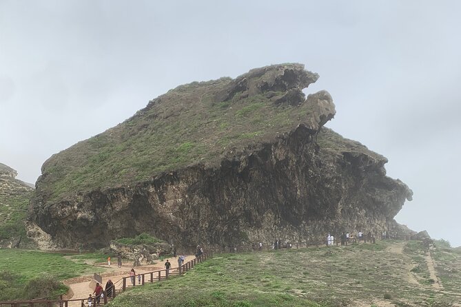 Private Guided Tour to West Beaches of Salalah - Time, Timing, and How to Plan Your Day