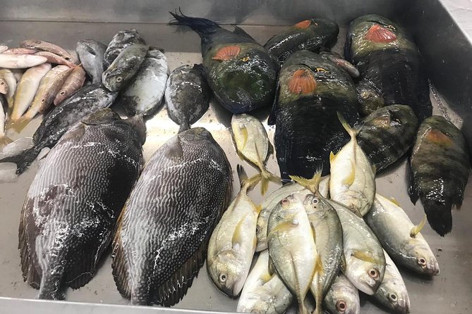 Private Half-Day Muscat City Tour - Fish and Vegetable Market Stop, where the city sells its real day
