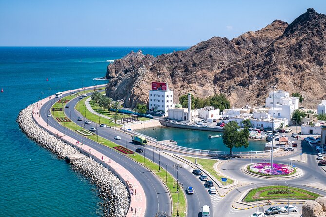 Private Half Day Muscat City Tour (Morning or Afternoon) - Al Alam Palace and the sea-facing forts, quick stops with big visuals