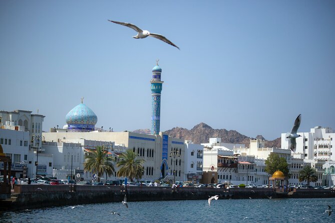 Private Half-day Tour in Muscat - Al Jalali and Al Mirani Forts: Quick Sea Views and Photo Breaks