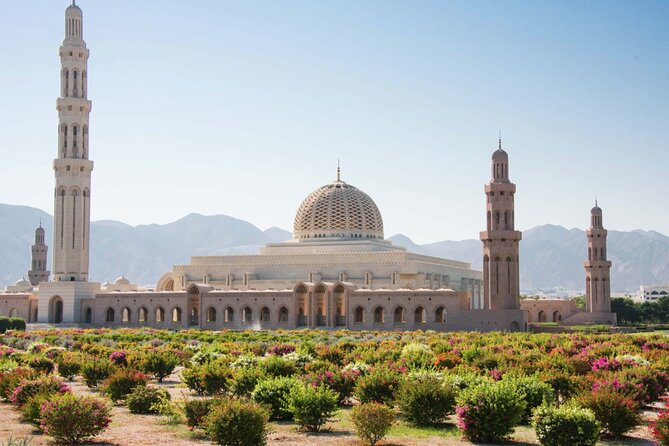 Private Half-Day Tour to Grand Mosque-Nakhal Fort and Hotspring - A Half-Day Route That Moves Smart, Not Rushed
