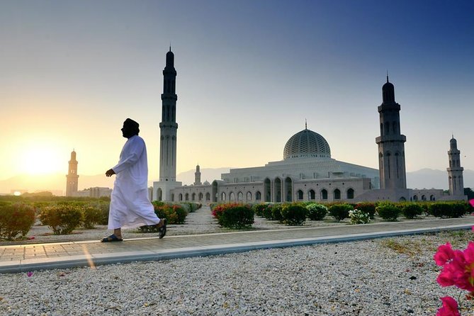 Private-Muscat City tour (Half Day) - Al Alam Palace and Al Jalali Fort: viewpoints, not long visits
