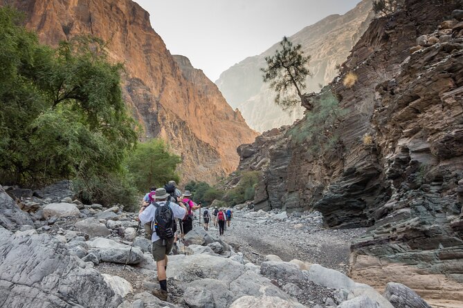 Private Muscat tour to the Grand Canyon Nizwa - Nizwa: fort and souq time for crafts you can point to