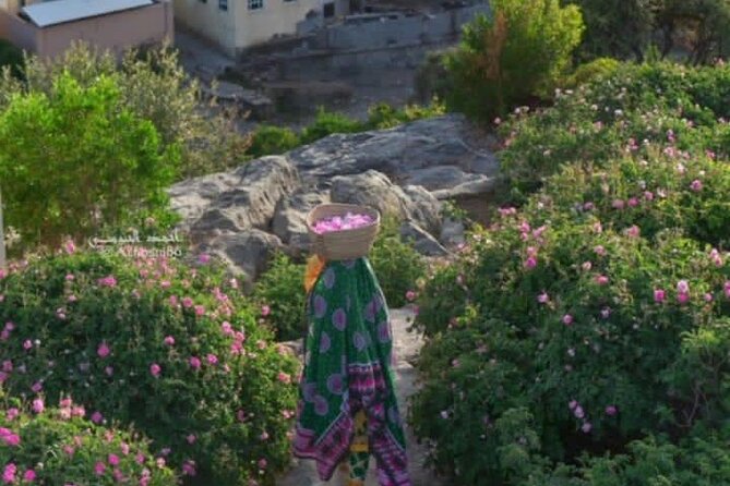 Private Oman Full Day Guided Sightseeing Tour - Price and Value at $180 Per Person