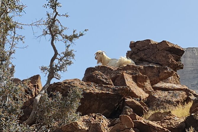 Private Overnight Jebel Shams Camping Tour - Reaching Jebel Shams: Dinner, Tent Camping, and Cold-Warm Reality