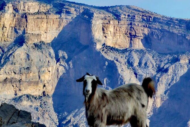 Private Overnight Nizwa & Jebel Akhdar Tour from Muscat - Jebel Akhdar Green Mountain Time: Fruit Plantations and Rose Gardens