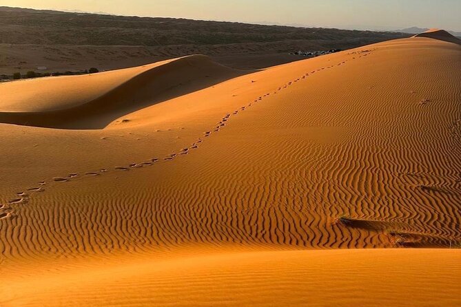 Private Safari tour and Wadi in 4x4 with a local guide - Key things that make this day work