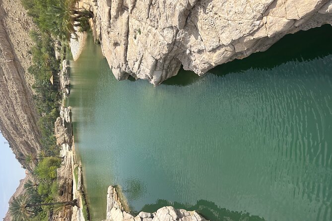 Private Safari tour and Wadi in 4x4 with a local guide - Language, safety, and flexibility: the three things that protect your day