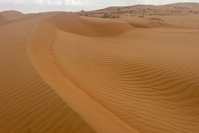 Private Safari tour and Wadi in 4x4 with a local guide - Why the local guide matters more than the vehicle