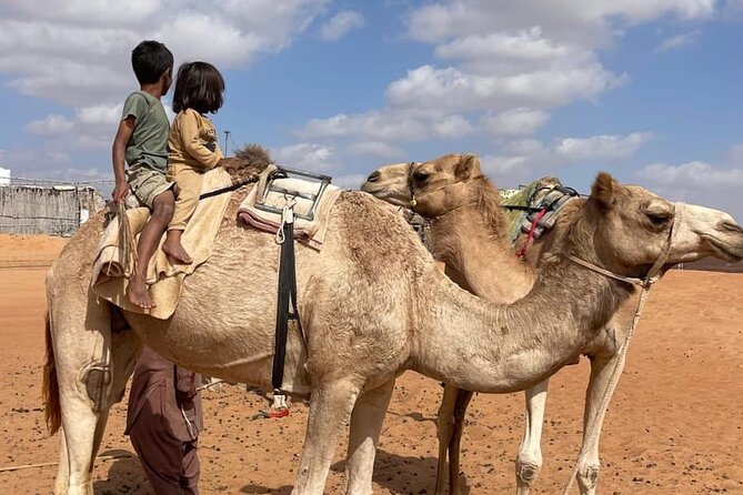 Private Sunset Watching Desert Safari with Dinner - Guides Matter More Than You Think, and This Company Gets It