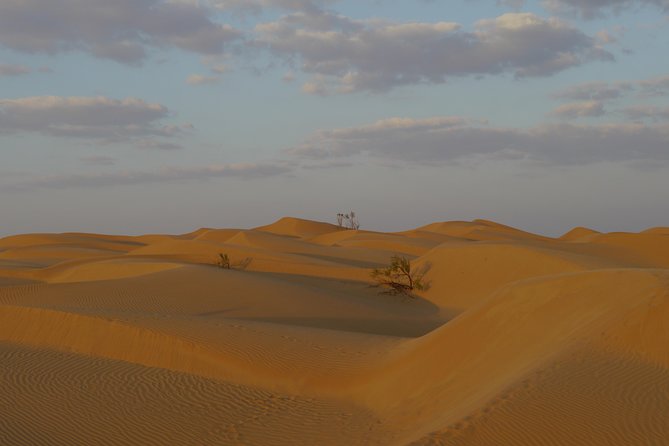 Private tour - Empty Quarter desert adventure - Wadi Dawka + Ubar - Price and value for a private desert day in Salalah