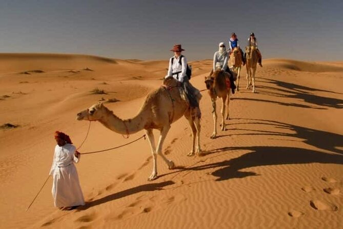 Private Transfer from Muscat to Wahiba Sand Desert by 4WD Vehicle - Key Highlights That Matter